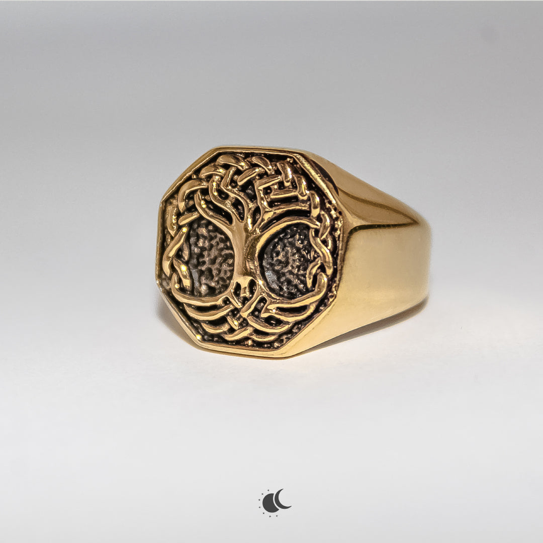 Eden Signet | Ring | 18K Gold