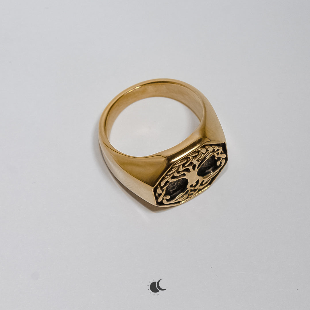 Eden Signet | Ring | 18K Gold